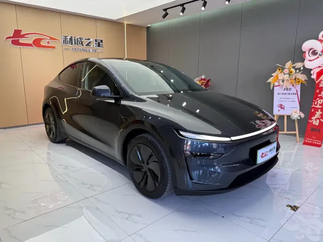 Tesla Model Y — Фото автомобиля 3
