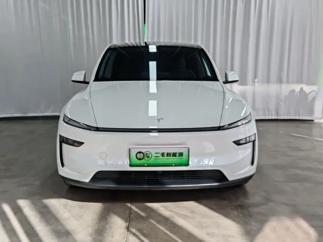 Tesla Model Y — Фото автомобиля 2