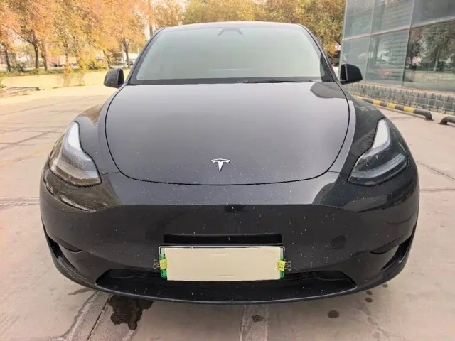 Tesla Model Y — Фото автомобиля 2
