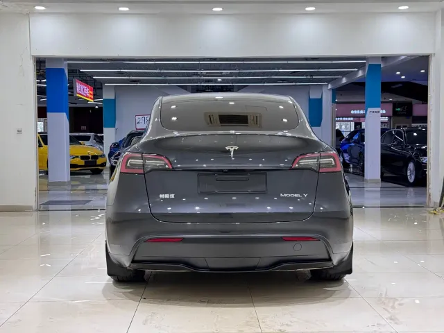 Tesla Model Y — Фото автомобиля 4