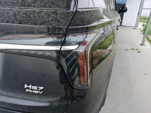 Hongqi HS7 PHEV — Фото автомобиля 7
