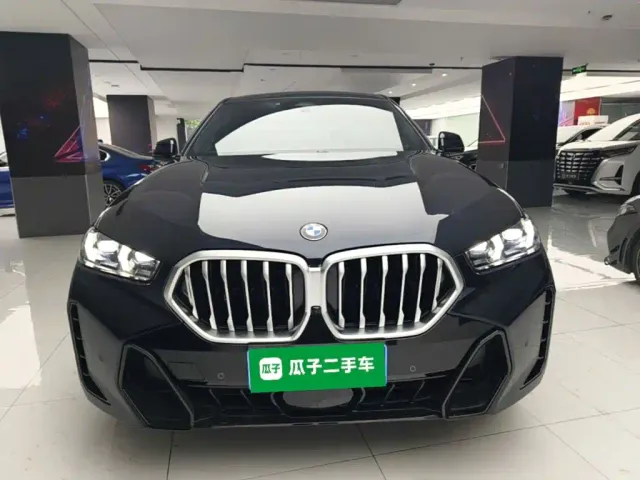 BMW X6 — Фото автомобиля 2