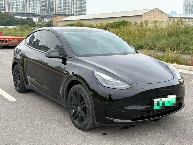Tesla Model Y — Фото автомобиля 3