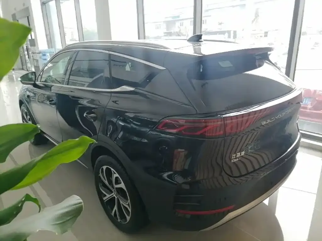 BYD Tang New Energy 2025 Smart Driving Edition DM-i 115KM Flagship — Фото автомобиля 22