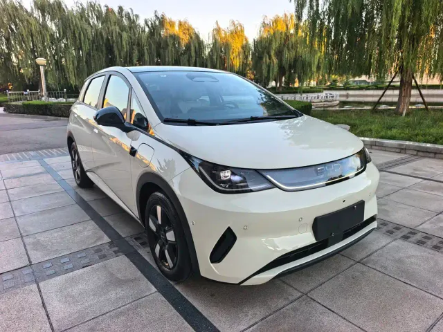BYD Dolphin — Фото автомобиля 2