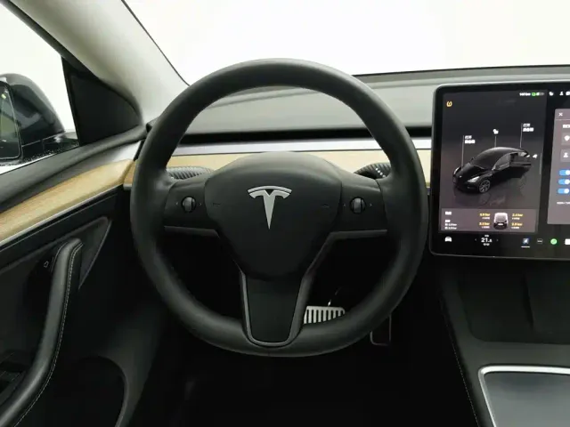 Tesla Model Y — Фото автомобиля 11