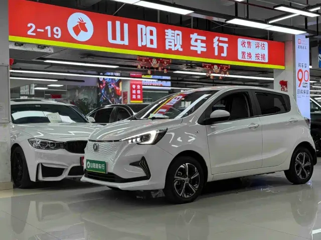 Фотография автомобиля — Changan Benben E-Star