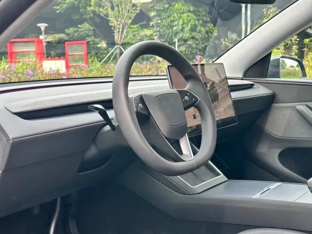 Tesla Model Y — Фото автомобиля 10