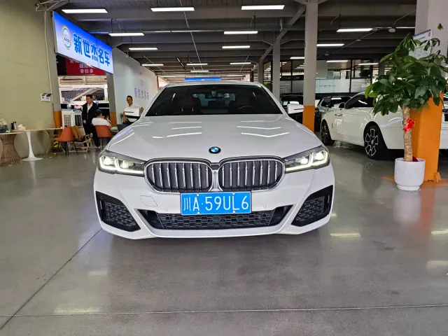 BMW 5 Series — Фото автомобиля 2