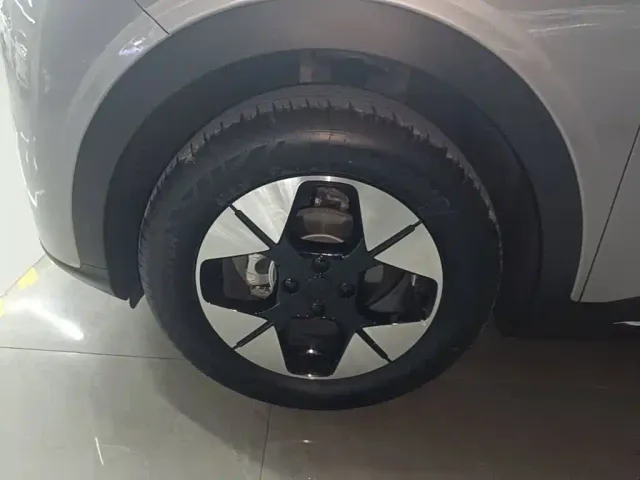 Geely Starry Wish — Фото автомобиля 22
