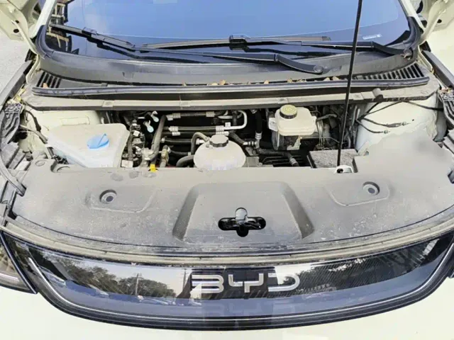 BYD Dolphin — Фото автомобиля 19