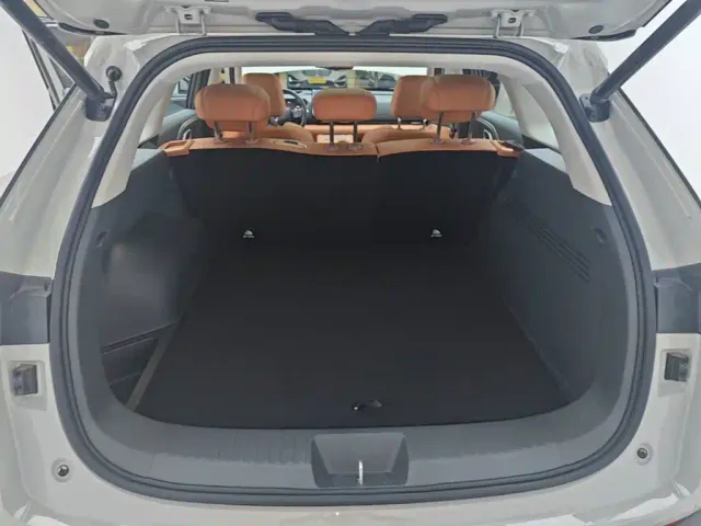 Haval Xiaolong MAX — Фото автомобиля 18