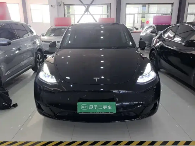 Tesla Model Y — Фото автомобиля 2