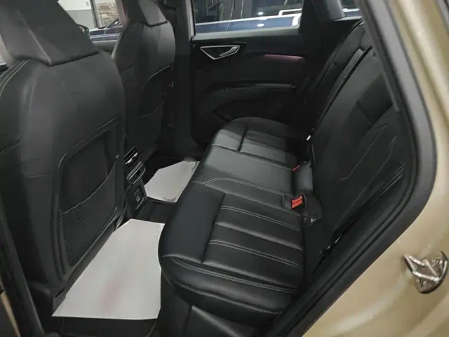 Audi Q4 e-tron — Фото автомобиля 16