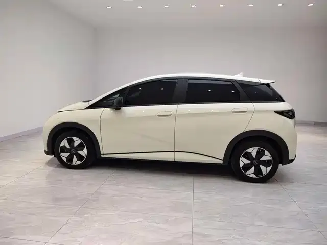 BYD Dolphin — Фото автомобиля 3