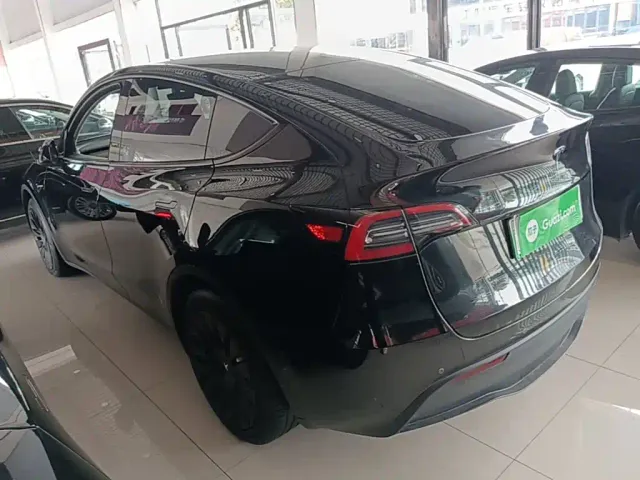 Tesla Model Y — Фото автомобиля 4