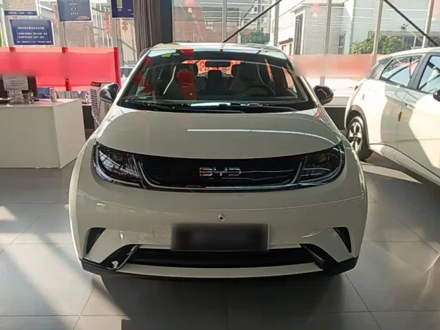 BYD Dolphin — Фото автомобиля 2