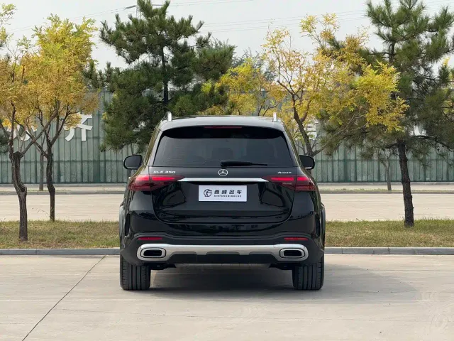 Mercedes-Benz GLE-Class — Фото автомобиля 25