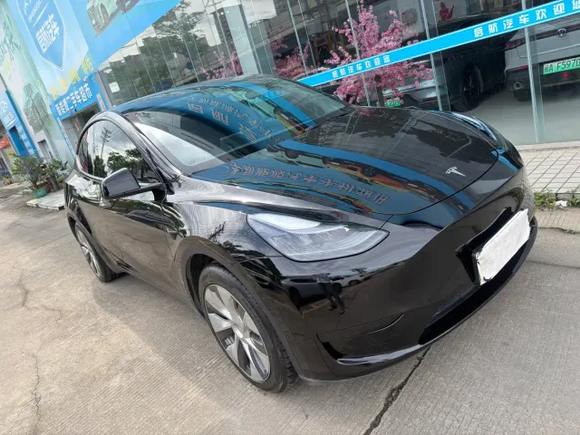 Tesla Model Y — Фото автомобиля 3
