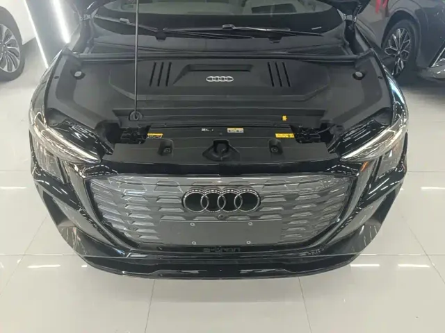 Audi Q5 e-tron — Фото автомобиля 19