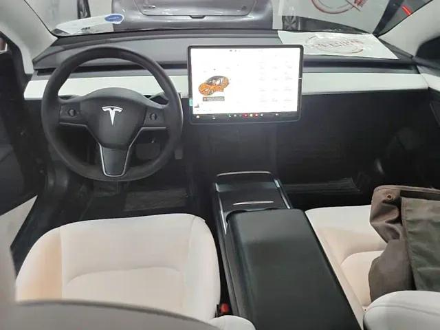 Tesla Model 3 — Фото автомобиля 5