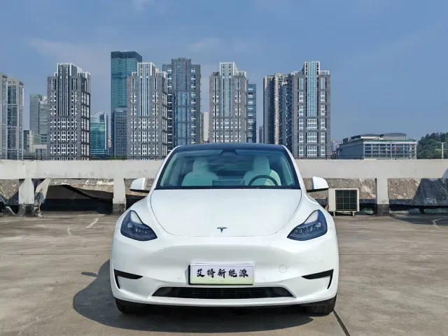 Tesla Model Y — Фото автомобиля 2