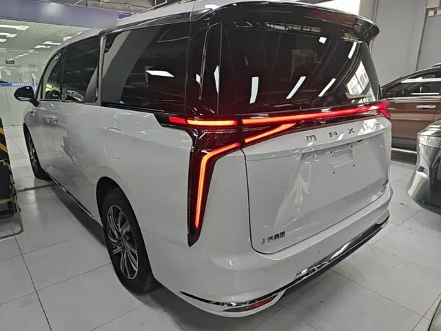 Maxus Dajia 9 — Фото автомобиля 4