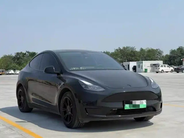 Tesla Model Y — Фото автомобиля 3