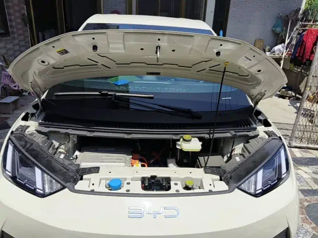 BYD Seagull — Фото автомобиля 3