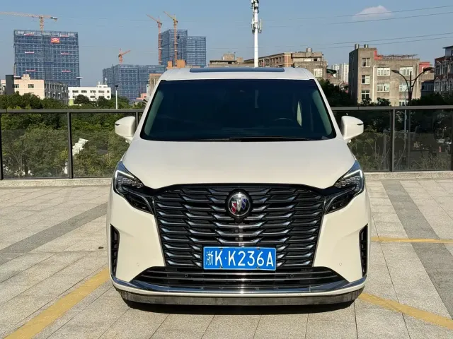 Buick Buick GL8 2021 ES Landlord 653T Premium — Фото автомобиля 2
