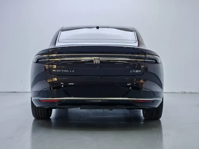 Buick Electra L7 — Фото автомобиля 5