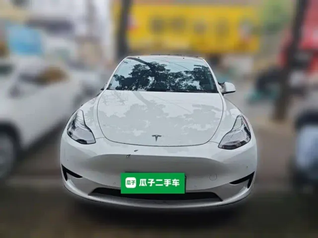 Tesla Model Y — Фото автомобиля 2