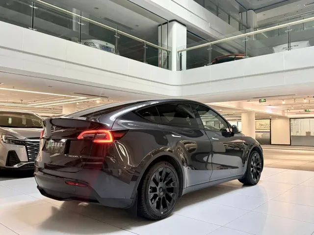 Tesla Model Y — Фото автомобиля 6
