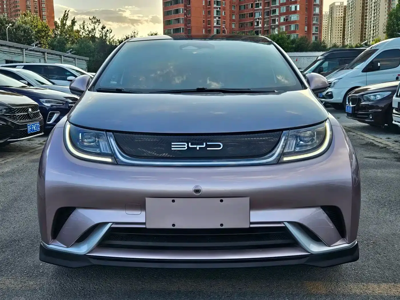 BYD Dolphin 2021 401km Knight Edition — Фото автомобиля 5