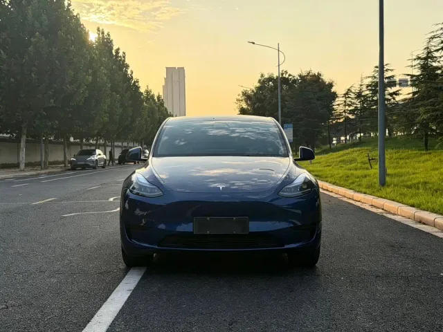 Tesla Model Y — Фото автомобиля 2