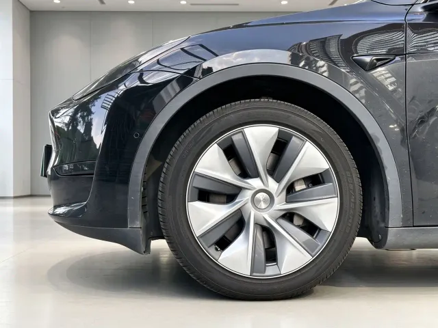Tesla Model Y — Фото автомобиля 21