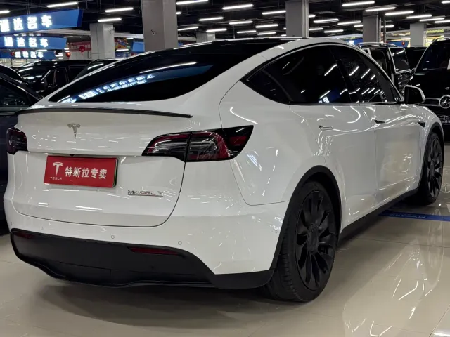 Tesla Model Y — Фото автомобиля 9