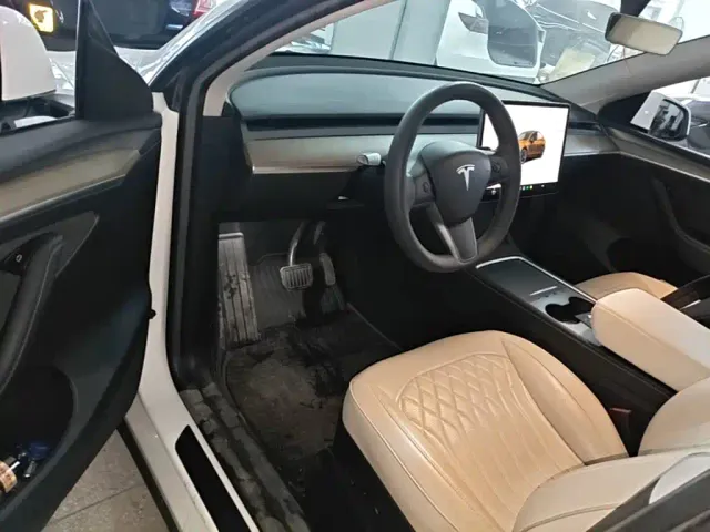 Tesla Model Y 2022 Facelift Long Range All-Wheel Drive Version — Фото автомобиля 20