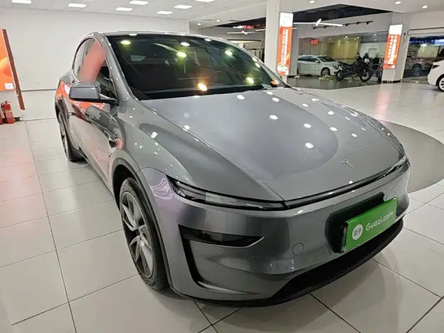 Tesla Model Y — Фото автомобиля 3