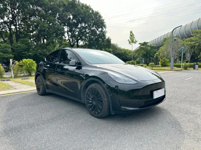 Tesla Model Y — Фото автомобиля 8
