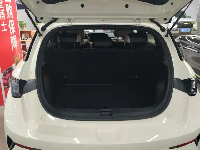 BYD Dolphin — Фото автомобиля 4