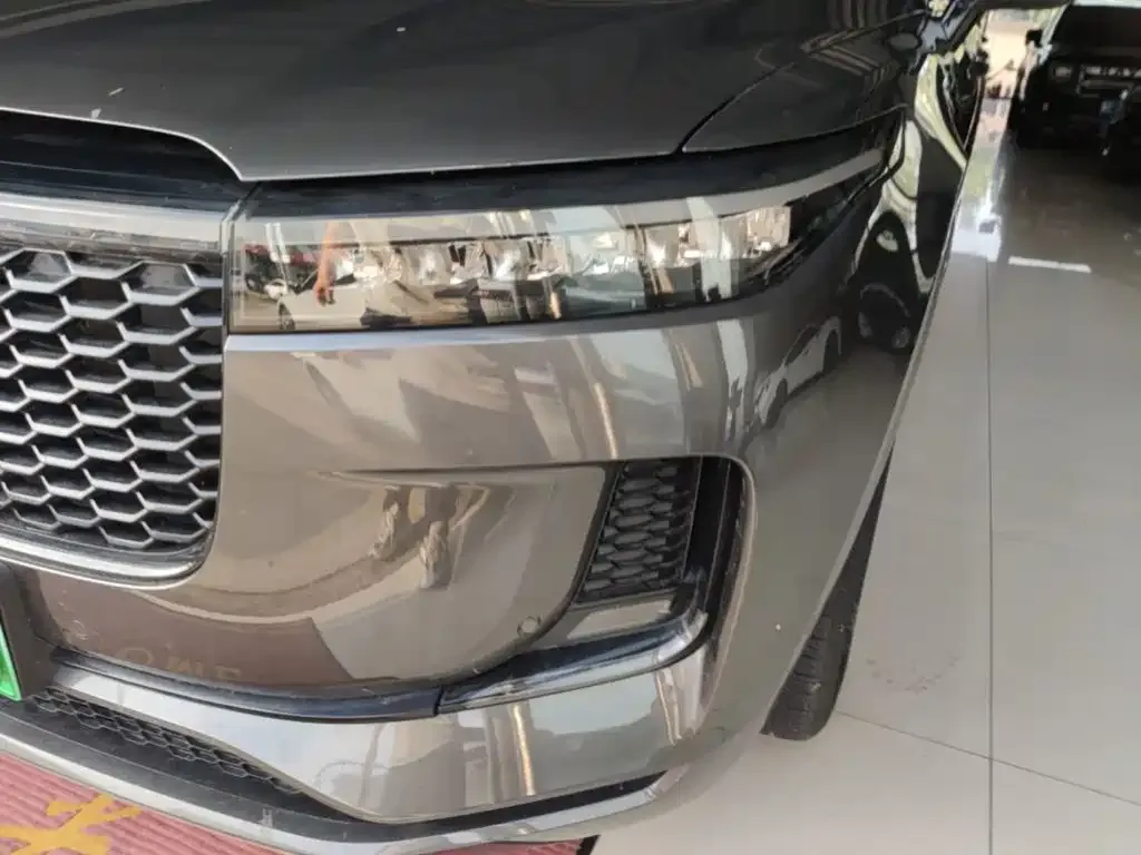 Li Auto Li ONE 2021 Extended Range 6-Seater — Фото автомобиля 17