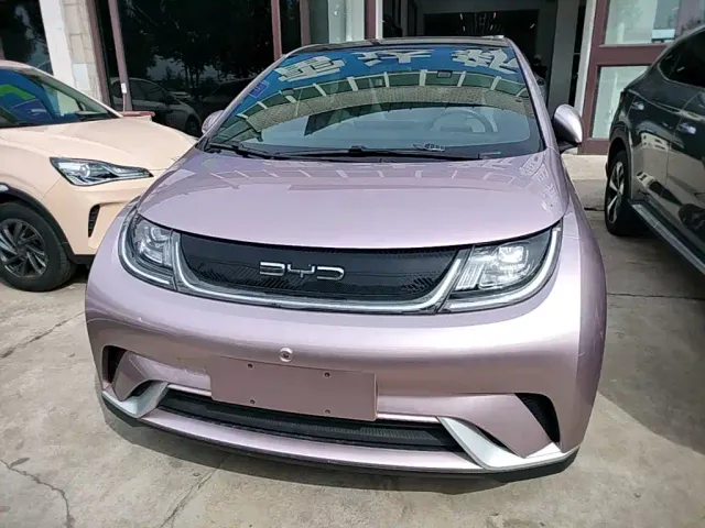 BYD Dolphin — Фото автомобиля 2