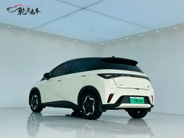 BYD Dolphin — Фото автомобиля 5