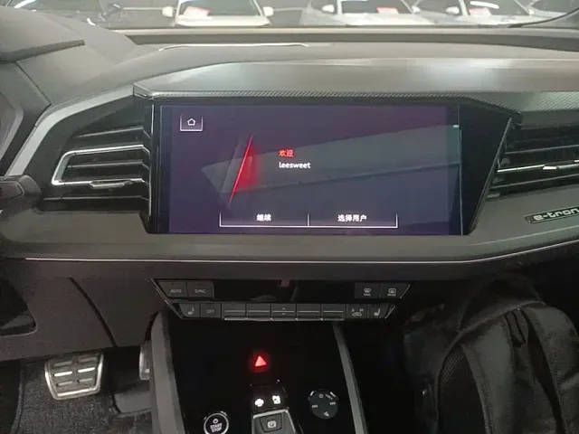 Audi Q5 e-tron — Фото автомобиля 12