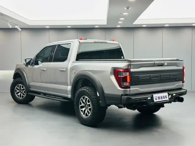 Ford F-150 Raptor — Фото автомобиля 6