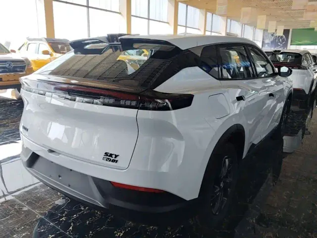 Dongfeng SKY EV01 — Фото автомобиля 6