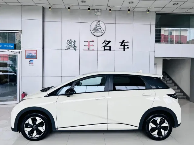 BYD Dolphin — Фото автомобиля 2