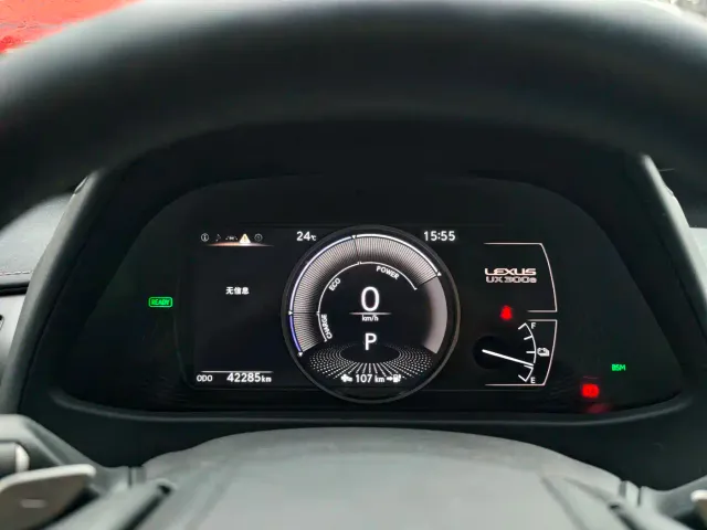 Lexus Lexus UX Electric 2020 300e Pure Enjoyment Edition — Фото автомобиля 19