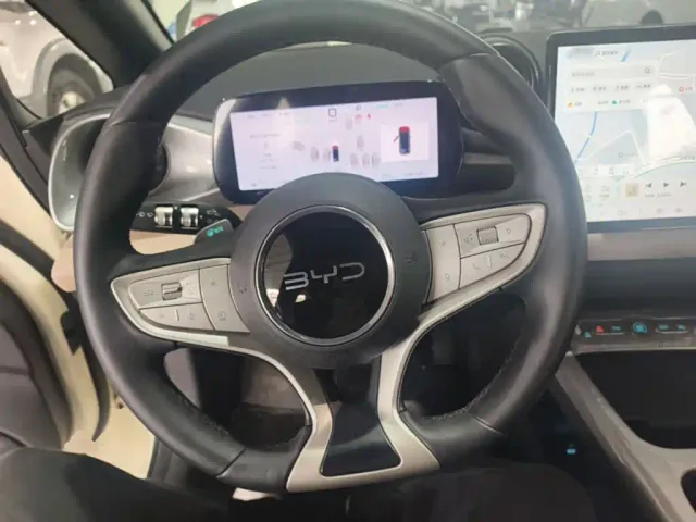 BYD Dolphin — Фото автомобиля 10